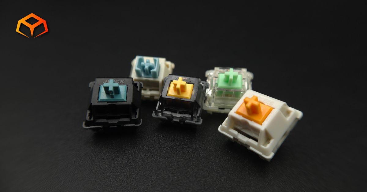 Macro shot of a Drop Holy Panda X, Gateron Baby Kangaroo, JWICK Black T1, EPOMAKER Budgerigar, and Glorious Panda switch grouped together in the middle of the photo